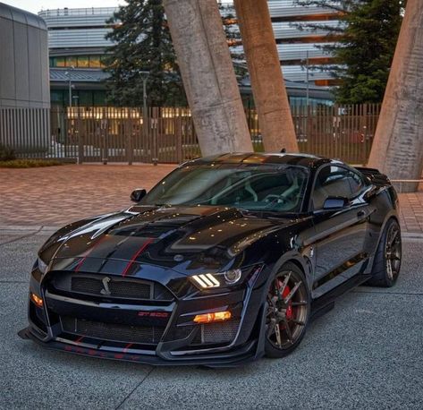 Cars Mustang, Mustang Car, Modern Muscle Cars, Mustang Ford, Mustang Gt500, Ford Mustang Car, Ford Mustang Shelby Gt500, Toyota 4, 4 By 4