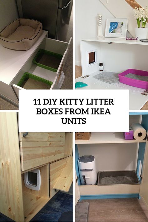 Hide Litter Box Ideas, Diy Kitty Litter, Plant Litter Box, Kitty Litter Boxes, Apartment Pets, Ikea Hacks For Cats, Cat Litter Box Diy, Bunny Litter Box, Cat Litter Furniture