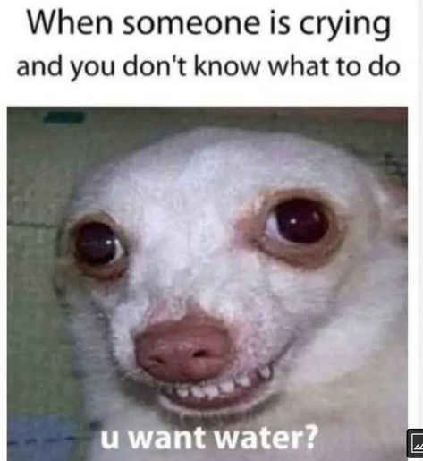 Water Meme, Funny Instagram Memes, Super Funny Memes, Parents Quotes Funny, Funny Texts Jokes, Weird Quotes Funny, Funny Joke Quote, Very Funny Pictures, Relatable Post Funny