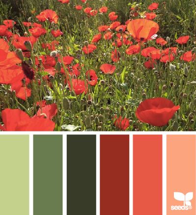 Poppy palette far left and far right for hall bath/office/basement Aalborg, Design Seeds, Green Kitchen Decor, Seeds Color, Red Rooms, Color Palate, Colour Pallette, Colour Pallete, Color Stories