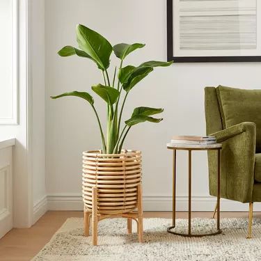 Need a Planter That Matches Your Design Style? Here Are 12 Pots Worth Considering | Hunker Birds Of Paradise Plant, Rattan Planters, Bird Of Paradise Plant, Live Indoor Plants, Paradise Plant, Indoor Outdoor Planter, Basket Planters, Creation Deco, Inspire Me Home Decor