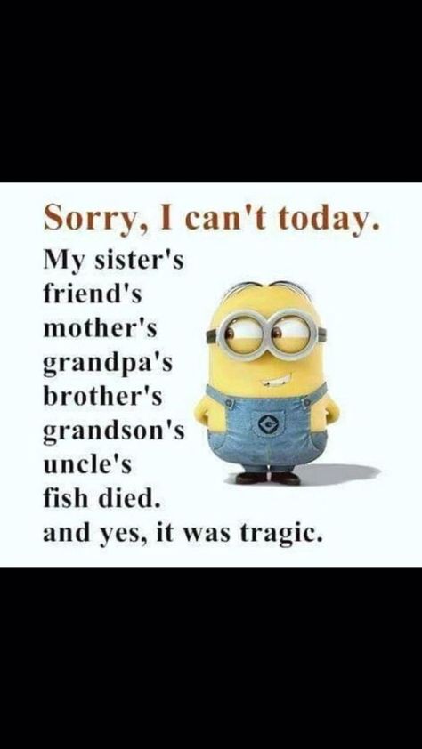 Nature, Humour, Minions, Baddie Comebacks, Funny Quotes Wallpaper, Funny Day Quotes, Funny Minion Pictures, Funny Minion Memes, Funny Poems