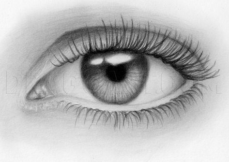 Trichotillomania Art, Trichotillomania Eyelashes, Human Eye Drawing, Human Face Drawing, Optical Illusion Paintings, Eye Outline, Illusion Paintings, Realistic Eye Drawing, Eye Drawing Tutorials