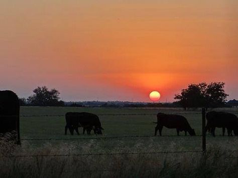 Ranch Sunset, Pretty Scenery, Boomer Sooner, Farm Stuff, Country Lifestyle, Farm Barn, Country Landscaping, Country Scenes, Southern Comfort