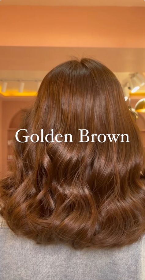 Balayage, Hair Color Cinnamon Brown, Honey Brown And Ginger Hair, Cool Skin Brown Hair, Hair Color For Different Skin Tones, Ginger Ash Hair, Honey Brown All Over Color, Dark Honey Blonde Hair Color, Hair Colors That Are Easy To Maintain