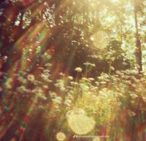 Trees And Flowers, Haus Am See, Belle Nature, Gambar Figur, Cinematic Photography, Back Yard, Nature Aesthetic, The Field, Summer Aesthetic