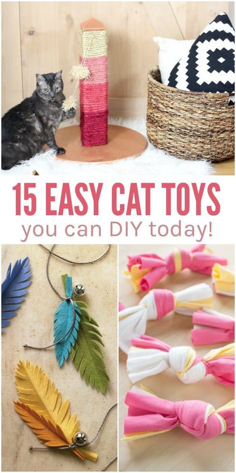 Diy Jouet Pour Chat, Katt Hus, Katt Diy, Katt Grejer, Chat Diy, Kat Diy, Homemade Cat Toys, Diy Pet Toys, Diy Cat Toys