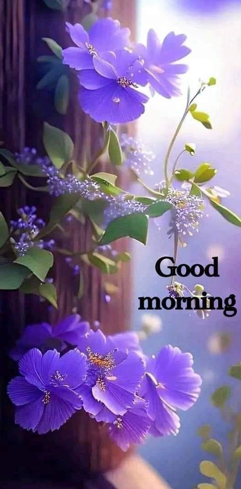 good morning images | Good morning Good Morning Butterflies, Ge Aldrig Upp, Very Good Morning Images, Latest Good Morning Images, Latest Good Morning, Good Morning Beautiful Gif, Good Morning Sunshine Quotes, Cute Good Morning Images, Good Morning Flowers Quotes