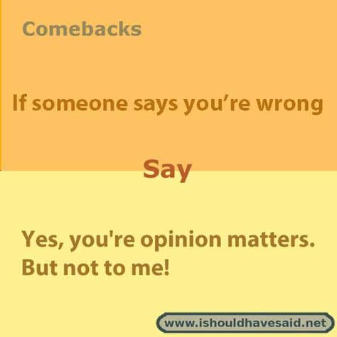 Funny comebacks if someone tells you that you are wrong | I should have said Humour, Comebacks Humor, Comeback Jokes, Sarcasm Comebacks, Sarcastic Comebacks, Sassy Comebacks, Snappy Comebacks, Comebacks Memes, Funny Roasts