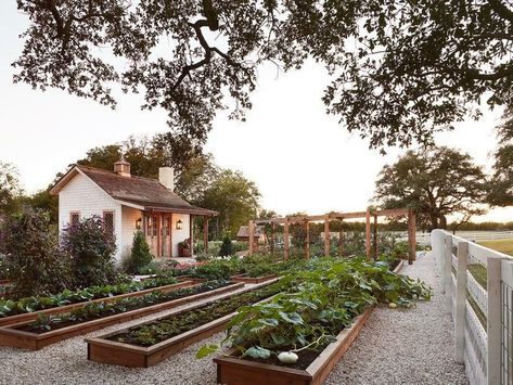 Gaines Family garden Family Garden, Backyard Farming Layout, Joanna Gaines Garden, Shed Inspiration, Joanna Gaines Farmhouse, Farmhouse Garden, Garden Help, Old Farm Houses, Garden Photos