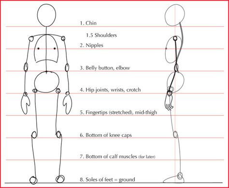 Human+Body+Proportions | Proportion Reminders Proportions Of The Body Sketch, Body Anatomy Proportion, Proportion Practice Drawing, Human Body Porpotion, Body Measurements Drawing, 8 Head Proportion, 8 Heads Proportion, Human Anatomy Stick Figures, Human Stick Figure Drawing