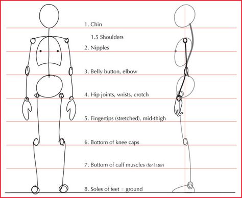 Human+Body+Proportions | Proportion Reminders Proportions Of The Body Sketch, Body Anatomy Proportion, Proportion Practice Drawing, Human Body Porpotion, Body Measurements Drawing, Figure Drawing Proportions Art Lessons, 8 Head Proportion, Human Anatomy Stick Figures, Anatomy Human Drawing