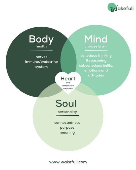 Fuel your body with nourishment, your mind with knowledge, your soul with inspiration, and your heart with love.  Embrace the holistic journey towards balance and fulfillment. 💚  You are a masterpiece in progress, thriving in harmony when body, mind, soul, and heart are aligned. 💚 Heart Mind Body And Soul, Mind Body Soul Art, Body Soul Mind, Mind Body Soul Spirit, Healthy Body And Mind, Body Mind Soul, Yoga Business, Mind And Soul, Mind Body And Soul