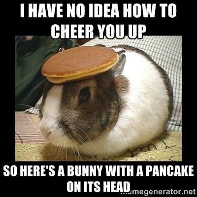 Cheer Up Memes, Cheer Up Meme, Friend In Need, Cheer Up Quotes, Cheer Someone Up, Cute Animal Memes, Cheer Me Up, A Bunny, Cheer You Up