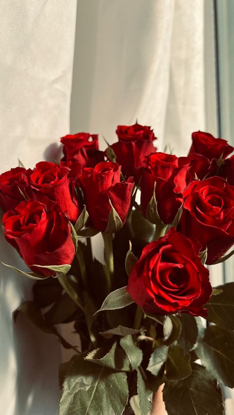 Rose Rouge Aesthetic, Red Rose Wallpaper Hd, Roz Flower, Red Rose Aesthetic, Red Roses Aesthetic, Red Flower Wallpaper, Roses Aesthetic, Red Roses Wallpaper, Rose Aesthetic