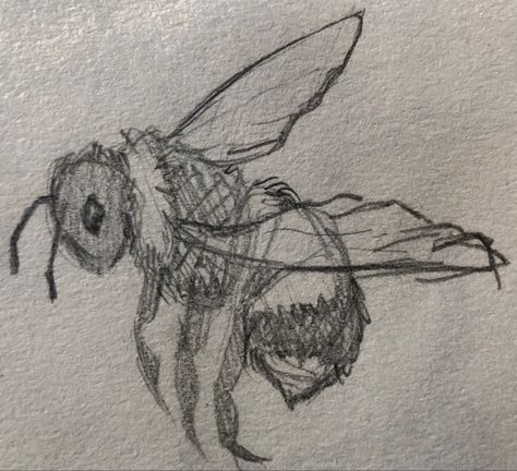 Tela, Bug Aethstetic, Bee Drawing Reference, Bug Drawing Reference, Honey Drawing Simple, Aesthetic Bee Drawing, Bugs Drawing Sketches, Bees Doodle, Bee Hive Painting Ideas