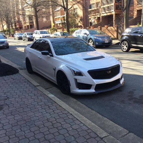 Cadallic Car Cts, Cadillac Cts V Sport, Cts V Sedan, White Cadillac, Cts V, Sport Sedan, Cadillac Cts V, Sedan Cars, Cadillac Ats