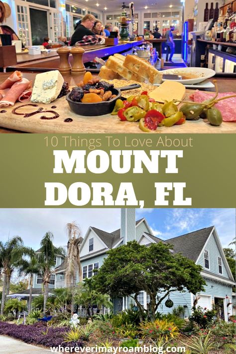 Mount Dora Florida, Florida Travel Destinations, Cocoa Beach Florida, Florida Travel Guide, Southern Travel, Florida Christmas, Christmas Festivities, Mount Dora, Historic Mansion