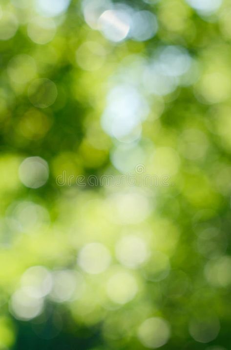 Green bokeh. Green and blue bokeh for background , #AD, #bokeh, #Green, #background, #blue #ad Blured Portrait Background, Green Tree Background, Bokeh Painting, Blue And Green Background, Dslr Blur Background, Painting Backgrounds, Mushroom Background, Blurry Lights, Blur Picture