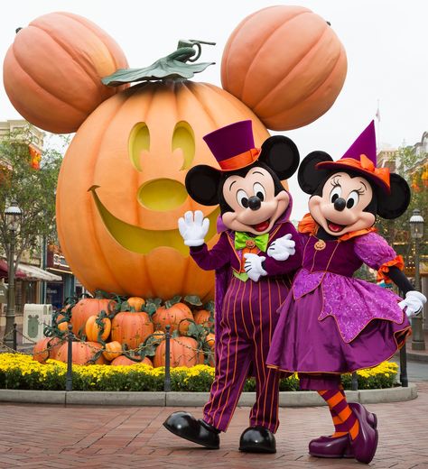 Halloween Disney World, Disneyland Halloween Party, Ide Halloween, Chateau Disney, Disneyland Guide, Dunia Disney, Disney World Halloween, Mickey Halloween Party, Disney Parque