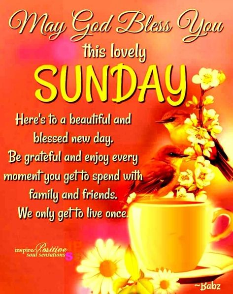 Sunday Good Morning Quotes, Blessings Sunday, Good Morning Saturday Wishes, Blessed Sunday Morning, Sunday Morning Wishes, Sunday Good Morning, Quotes Sunday, Good Morning Sunday Images, Sunday Morning Quotes