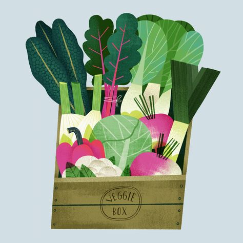 Nature, Veggie Box, Food Illustration Design, Vegetable Illustration, Food Illustration Art, Food Graphic Design, Fruit Illustration, Illustration Food, Arte Inspo