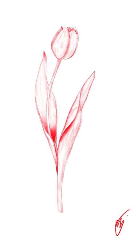 Tulip Rose Tattoo, Colorful Tulip Tattoo, Delicate Tulip Tattoo, Vase Of Tulips Tattoo, Tulip Tattoo Spine, Tulip Spine Tattoo, Tulip Back Tattoo, Red Tulip Tattoo, Tulip Tattoo Design