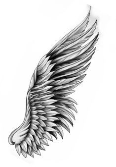 Egal Wings Tattoo, Wings With Eyes Tattoo, Eagle Wings Tattoo Design, Egal Tattoo Design, Angel Wing Arm Tattoo, Eagle Wings Tattoo, Angel Wings Tattoo Stencil, Chest Tattoo Writing, Wing Tattoo Arm