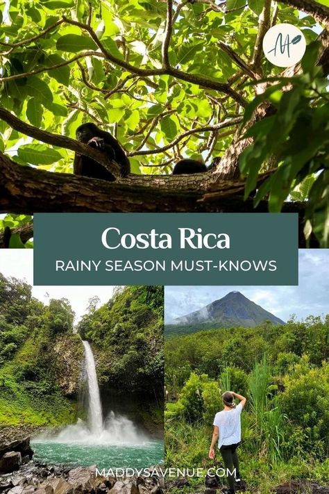 The rainy season is actually a great time to visit Costa Rica, but it's also important to know what to expect. In this post, let's take a look at the good and the bad of the rain season in Costa Rica to help you decide! | Travel Destinations, Dream vacations destinations, Beautiful travel destinations Corcovado National Park, Tamarindo, Costa Rica, Visiting Costa Rica, Costa Rica Itinerary, Rain Season, Costa Rico, Costa Rica Travel Guide, San Jose Airport