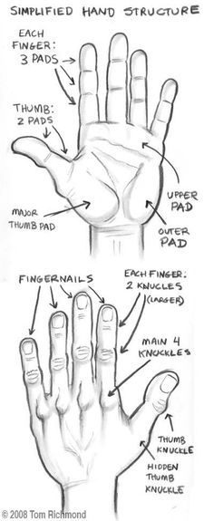 basic drawing techniques - Google Search More Drawing Hands, Hand Structure, Draw Hands, Basic Drawing, Ideas Drawing, Anatomy Drawing, Art Instructions, Anatomy Reference, Drawing Lessons