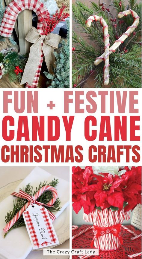 Candy Cane Party Ideas, Christmas Crafts Candy Canes, Decorated Candy Canes, Christmas Crafts With Candy Canes, Decorating With Candy Canes, Plastic Candy Cane Crafts, Candy Cane Ideas Christmas, Candy Cane Crafts Christmas, Candy Cane Office Theme