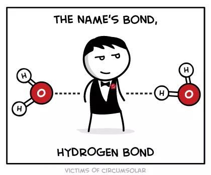 The name's bond, hydrogen bond Biology Jokes, Chemistry Puns, Science Cartoons, Biology Humor, Nerdy Jokes, Nerdy Humor, Hydrogen Bond, Science Puns, Chemistry Humor