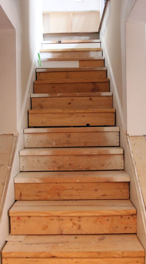 Updating Stairs, Redo Basement, Redo Stairs, Stairs Makeover Ideas, Basement Steps, Basement Stairs Ideas, Stairs Decor, Carpet Diy, Stairs Renovation