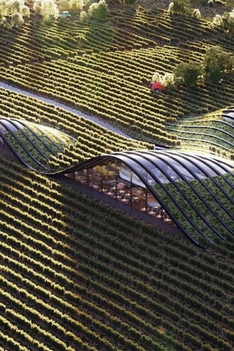 Organic Architecture, Wineries Architecture, Environmental Architecture, Fasad Design, Eco Buildings, Eco Architecture, Green Architecture, Country Landscaping, Earthship