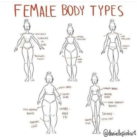 Different Body Types Anatomy Drawing, How To Proportion Bodies, Female Cartoon Anatomy, Body Types Sketch Female, Body Types Art Reference Women, Drawing Body Types Female, Female Body Types Drawing Reference, Different Body Types Drawing Women, Body Type Drawing Women