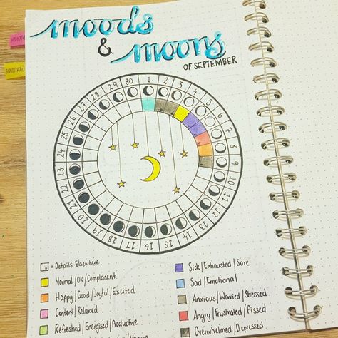 While I was browsing I found layouts inspired by astrology and zodiac. Here is a round-up of astrology and zodiac inspired bullet journal layout ideas. Diario Bullet, خريطة ذهنية, Moon Journal, Bujo Ideas, Fat Soluble Vitamins, Bullet Journal Mood, Dot Journals, Bullet Journal Notebook, Bullet Journal Writing