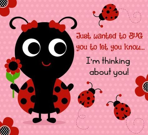 Just wanted to bug you to let you know I'm thinking about you friends teddy bear friend quote thinking of you friend greeting friend poem friends and family quotes i love my friends You’re Special, Just Checking In On You Images, Thinking Of You Quotes For Him, Thinking Of You Images, Ladybug Quotes, Hello Quotes, Hi Quotes, Special Friend Quotes, Thinking Of You Today