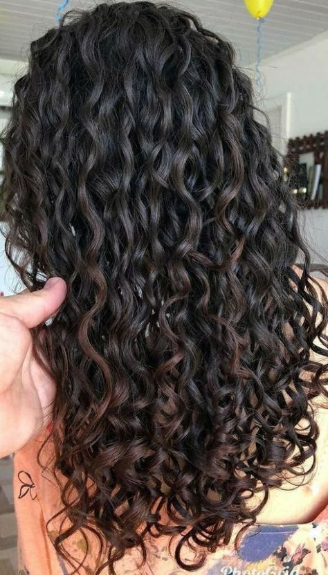 Curly Hair Tips, Long Hair Perm, Highlights Curly Hair, Hair Diffuser, Curly Hair Photos, Curly Human Hair Wig, Curly Hair Inspiration, Permed Hairstyles, Perfect Curls