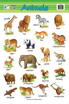 Animal Chart, Animals Name In English, Animal Pictures For Kids, Preschool Charts, Teach English To Kids, Animal Flashcards, Learning English For Kids, Domestic Animals, English Worksheets For Kids