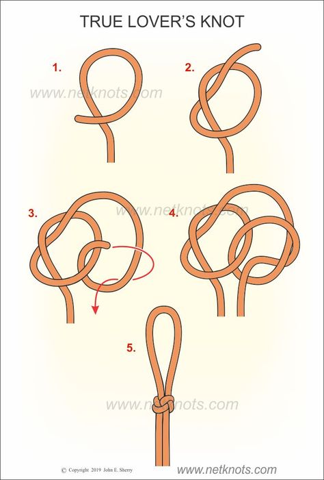 How to tie a True Lover's Knot illustrated, animated and explained by NetKnots Simpul Makrame, Knot Tutorial, Survival Knots, Knots Guide, Decorative Knots, Nautical Knots, Paracord Knots, Knots Diy, Knots Tutorial