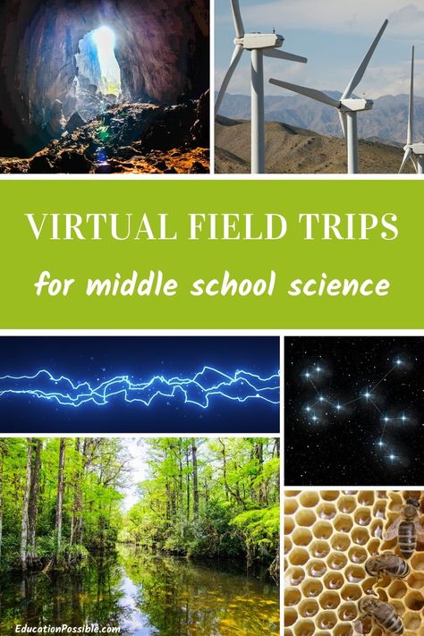 There are over 20 virtual field trips listed here that explore a wide variety of science topics. They make the perfect addition to your middle school science lessons. I love online tours like these because they give kids a chance to see things they normally wouldn't get to, all from the comfort of home. With the websites on this list, kids will get up close with chemistry, biology, physics, and astronomy to see how the theories they're studying actually apply to real life. Physical Science Middle School, Technology Lesson Plans, Science Lessons Middle School, Teaching Middle School Science, Middle School Science Activities, Earth Science Activities, Space Lessons, Homeschool Field Trips, Middle School Lesson Plans