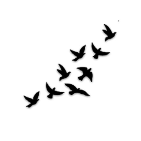 Bird Silhouette Tattoos, Tattoo Silhouette, Vogel Silhouette, Marine Tattoo, Vogel Tattoo, Black Bird Tattoo, Flying Bird Tattoo, Tattoo Schrift, Silhouette Tattoos