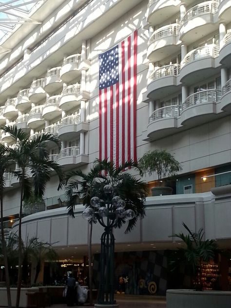 Airport Snap, Orlando Airport, Patriotic Images, Orlando International Airport, Usa Trip, West Chester, Dream Trip, International Airport, Summer 2024