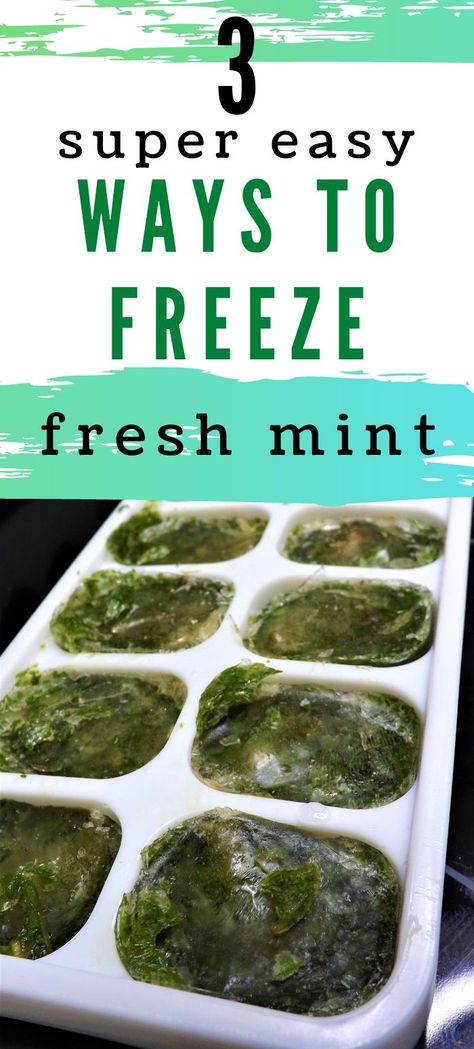 Mint Sauce, Freezing Peppers, Mint Jelly, Preserving Herbs, Awesome Food, Fresh Mint Leaves, Food Preservation, Frozen Fruit, Mint Leaves