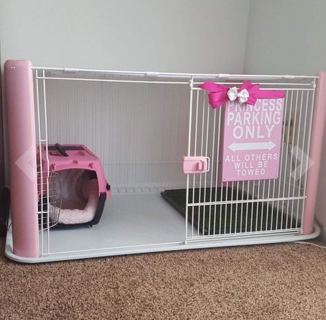 Small Dog Spaces In House, Small Dog Ideas, Decorated Dog Cage, Spoiled Dog Aesthetic, Rabbit Home Ideas, Diy Dog Playpen, Cute Dog Crate Ideas, Dog Set Up, Puppy Crate Setup