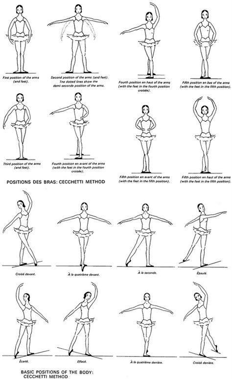 Like Mom and Apple Pie: Little girls bathroom- Free vintage ballerina poster printables || photo ballet-positions-cecchetti_method Schul Survival Kits, Ballerina Poster, Ballet Basics, Dancing Poses, Ballet Positions, The Splits, Ballet Technique, Ballet Moves, Dance Technique