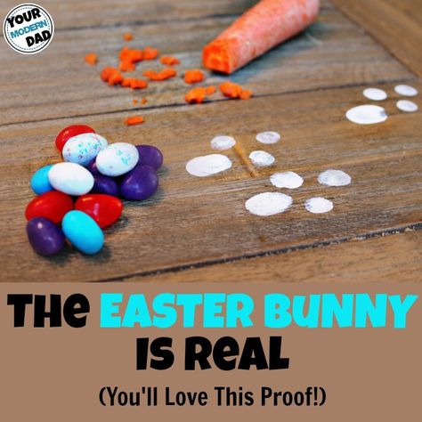 the Easter Bunny is real (you'll love this proof!) Easter Bunny Tracks, Easter Bunny Footprints, Easter Movies, Easter Books, Easter Hunt, Easter Games, Easter Morning, The Easter Bunny, Spring Ideas