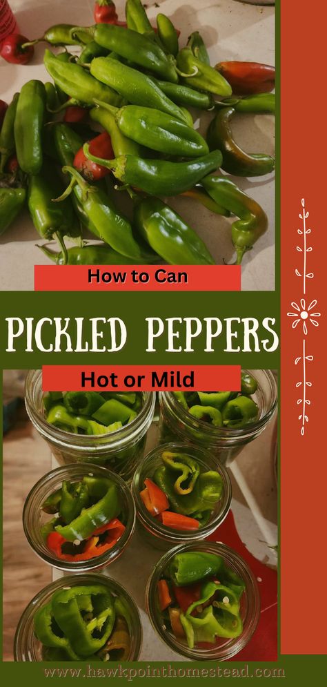 This easy recipe for pickled sweet or hot peppers for canning is a great recipe with very few ingredients and like it says, can be used to pickle sweet or hot peppers, or use a variety of peppers! Enjoy the flavorful pickled peppers all winter long with this pickled pepper simple recipe. It is delicious with any kind of pepper, including jalapeno peppers. Pickled banana peppers are great too! Pickled peppers are awesome in so many recipes, including scrambled eggs, tacos, potato salad, pizza. Pickling Bell Peppers, Hot Pepper Pickling Recipe, Pickles Peppers Recipe, How To Use Jalapeno Peppers, Canned Pickled Peppers, Pickled Peppers Canning, How To Can Pimento Peppers, How To Pickle Jalapenos Canning, Canning Tabasco Peppers