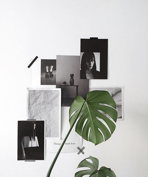 minimal black and white mood board inspiration for a home office: green monstere plant leaf in a vase Minimalist Dekor, Toronto Girls, Slouchy Jeans, Jeans Models, Minimalism Interior, Mood Board Design, Decor Minimalist, Minimalist Kitchen, Minimalist Interior