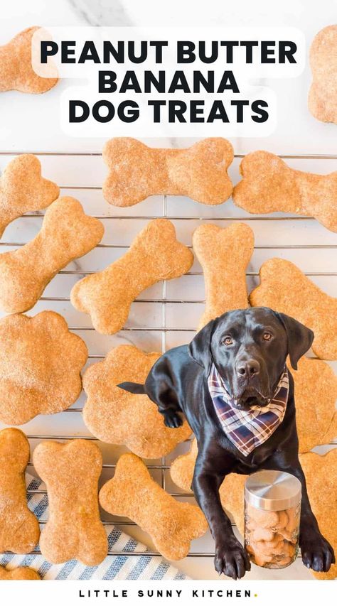 Tasty, crunchy baked peanut butter banana dog treats are a healthy, treat for dogs, and are easy to make with just a handful of common ingredients. Dog Treats With Bananas, Easy Banana Dog Treats, Pb Banana Dog Treats, Banana Peanut Butter Dog Treats Frozen, Crunchy Peanut Butter Dog Treats, Homemade Dog Treats With Banana, Dog Banana Treats, Peanut Butter And Banana Dog Treats, Shelf Stable Homemade Dog Treats